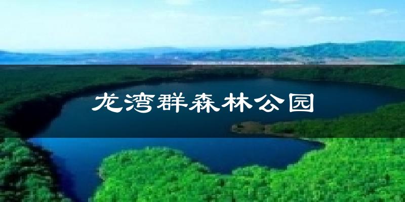 龙湾群森林公园天气预报十五天