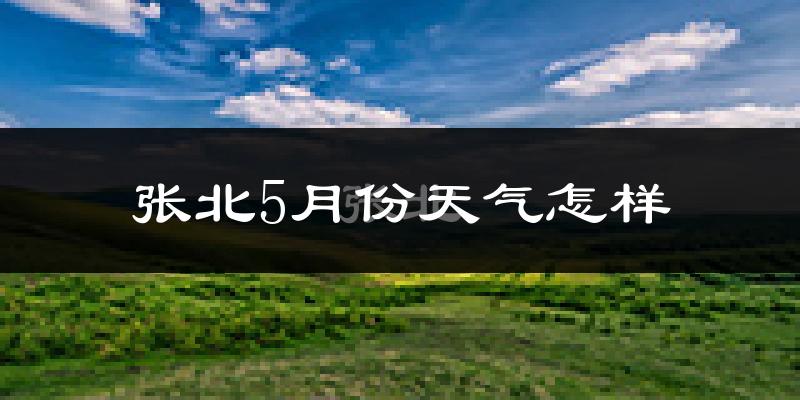 张北县5月份天气如何?很冷还是热?
