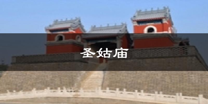 圣姑庙天气预报十五天