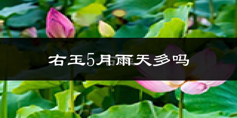 右玉5月雨天多吗?