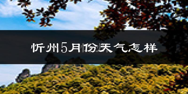 忻州市5月份天气如何?很热吗?