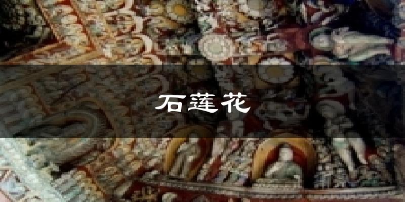 石莲花天气预报十五天