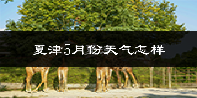 夏津县5月份天气如何?很热吗?