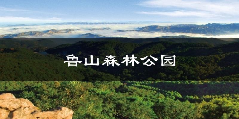 鲁山森林公园天气预报十五天