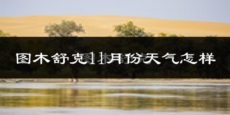 图木舒克11月份天气怎样?图木舒克十一月冷不冷?