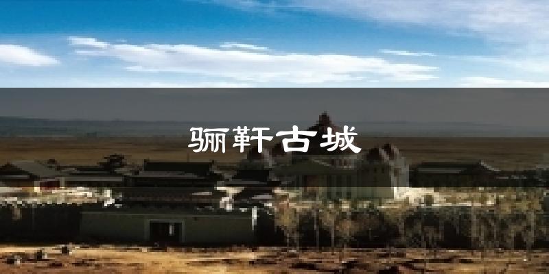 骊靬古城天气预报十五天