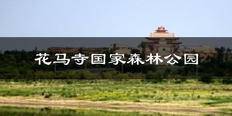 花马寺国家森林公园天气预报十五天