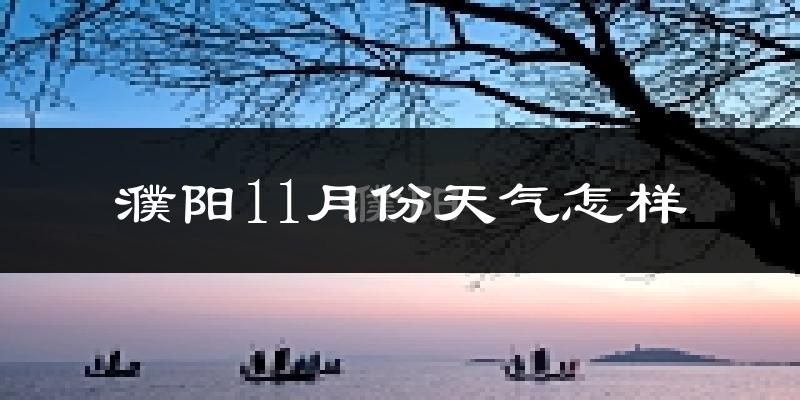 濮阳11月份天气怎样?濮阳十一月冷吗?