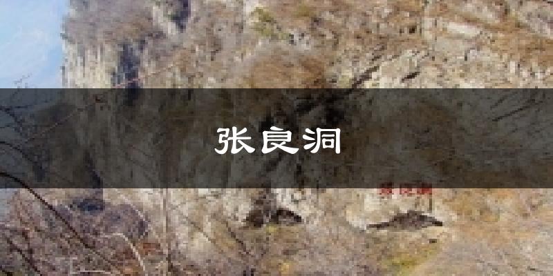张良洞天气预报十五天