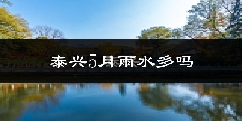 泰兴5月雨水多吗?