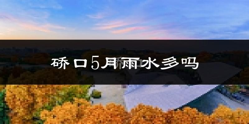 硚口5月雨水多吗?