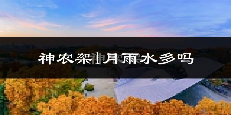 神农架1月雨水多吗?