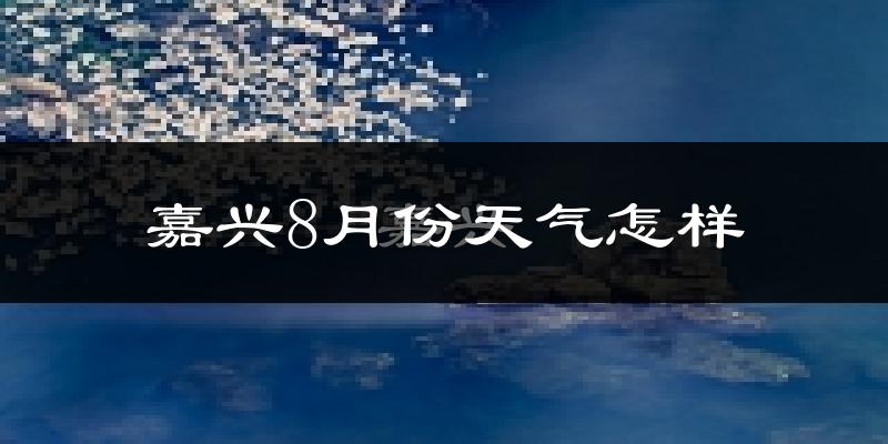 嘉兴市8月份天气如何?很热吗?