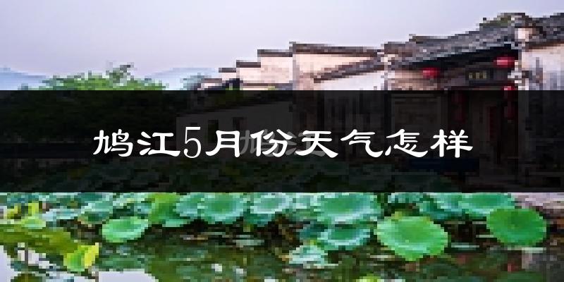 鸠江5月份天气怎样?鸠江五月冷不冷?