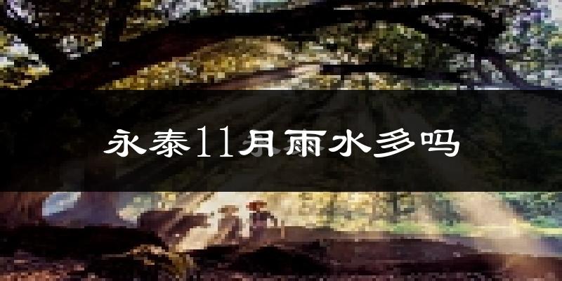 永泰11月雨水多吗?