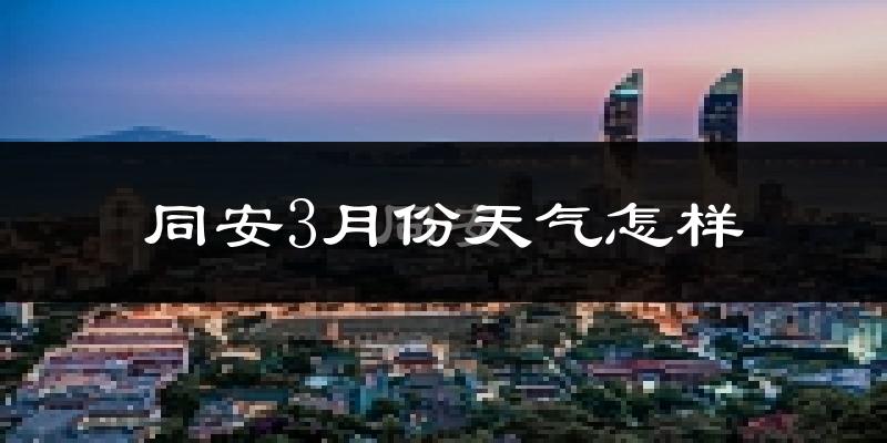 同安3月份天气怎样?同安三月冷不冷?