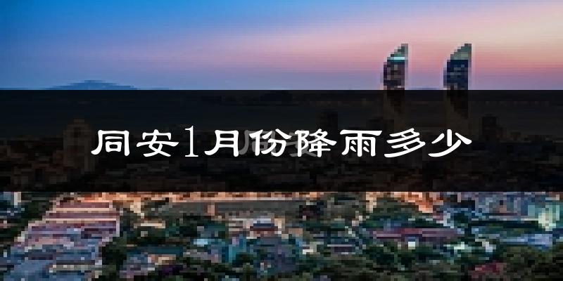 同安1月份降雨多少?