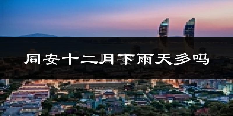 同安十二月下雨天多吗?同安12月份降雨量多少?