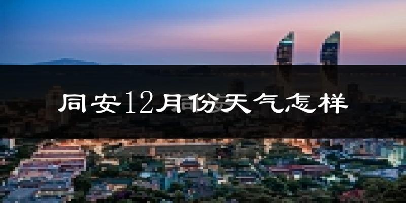 同安12月份天气怎样?同安十二月冷吗?