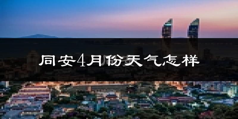 同安4月份天气怎样?同安四月冷吗?
