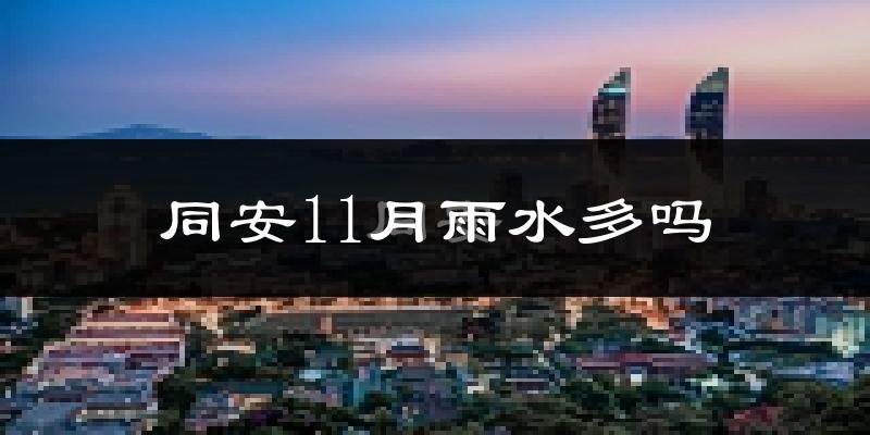同安11月雨水多吗?