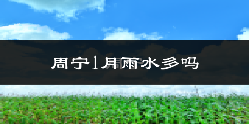 周宁1月雨水多吗?