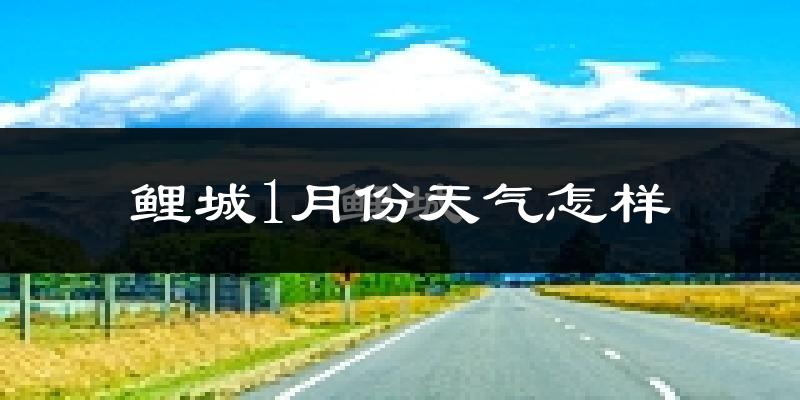 鲤城1月份天气怎样?鲤城一月冷吗?