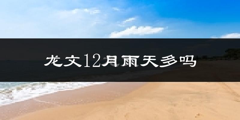 龙文12月雨天多吗?