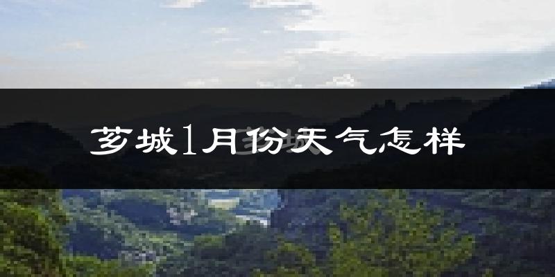 芗城1月份天气怎样?芗城一月冷不冷?