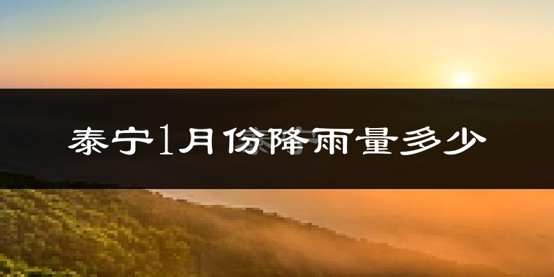 泰宁1月份降雨量多少?泰宁一月下雨多吗?