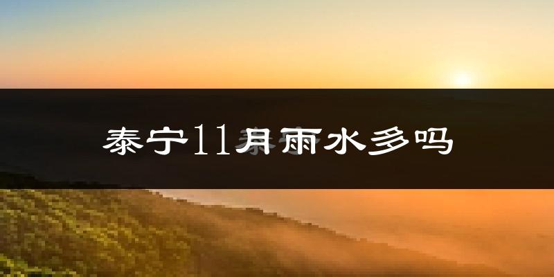 泰宁11月雨水多吗?