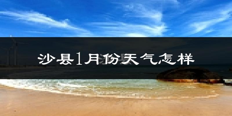 沙县1月份天气如何?很冷吗?