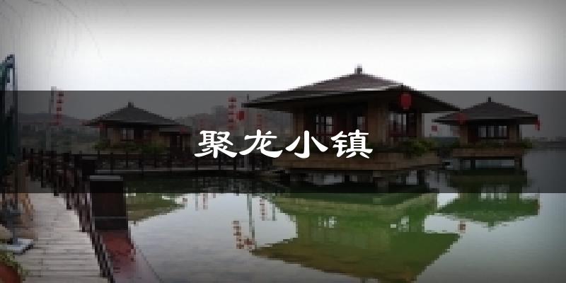 聚龙小镇天气预报十五天