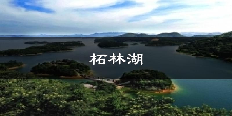 柘林湖天气预报十五天