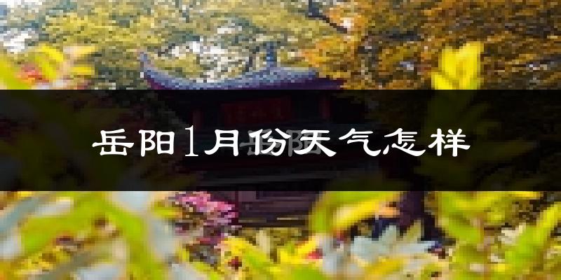 岳阳1月份天气如何?很冷吗?