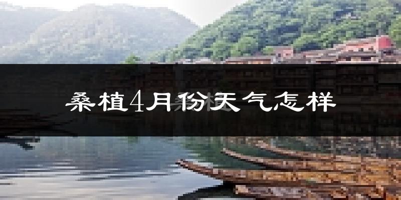桑植县4月份天气如何?冷热情况分析