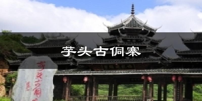 芋头古侗寨天气预报十五天