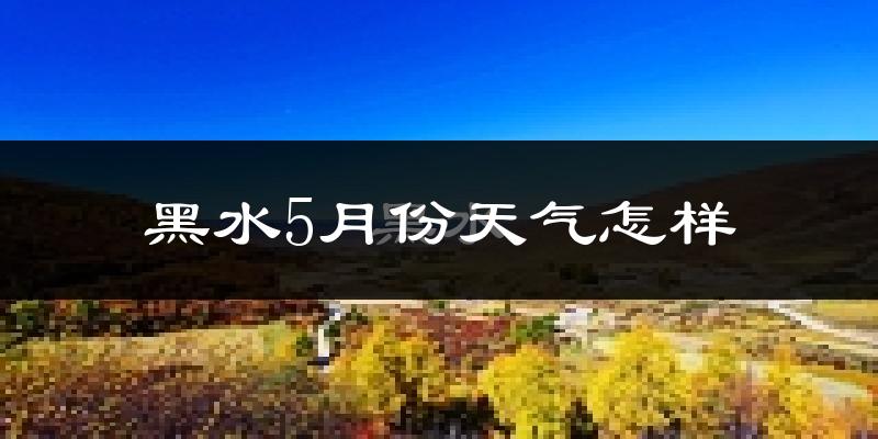 黑水县5月份天气如何?很冷吗?