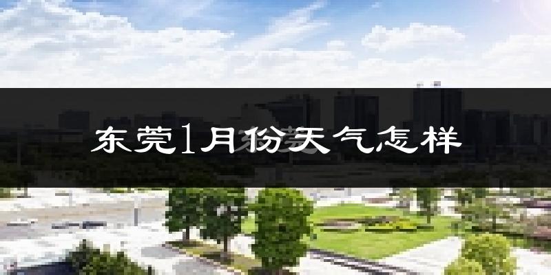 东莞1月份天气如何?冷吗?过去两年1月天气数据分析