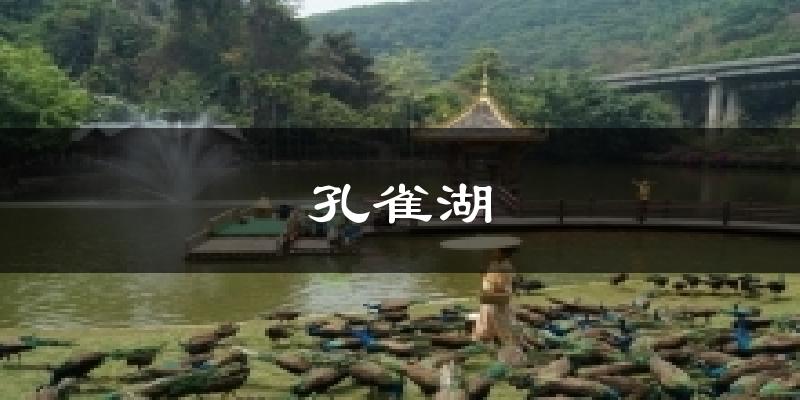 孔雀湖天气预报十五天