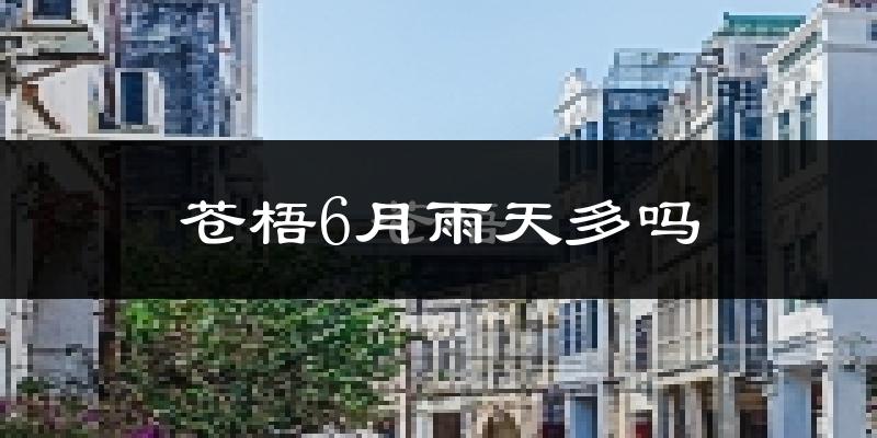 苍梧6月雨天多吗?