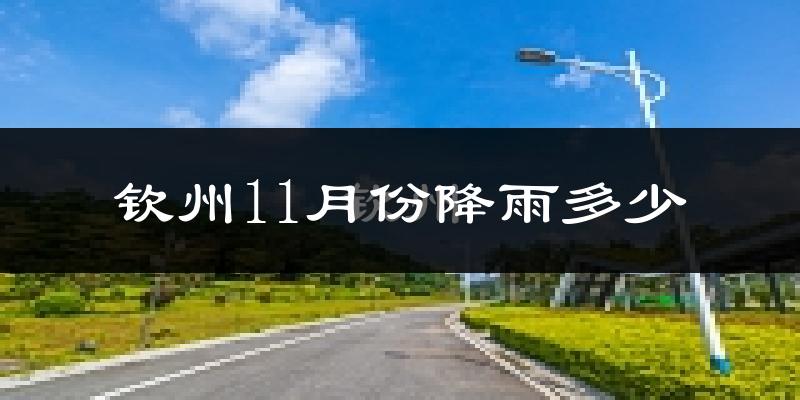 钦州11月份降雨多少?