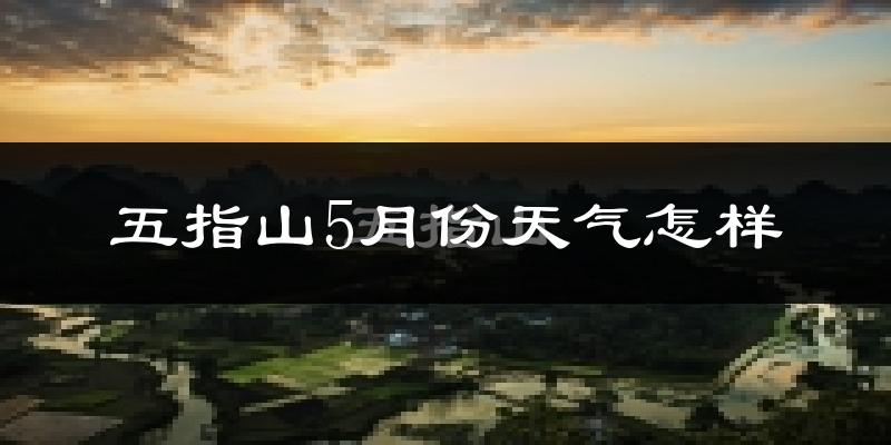 五指山5月份天气如何?很热吗?
