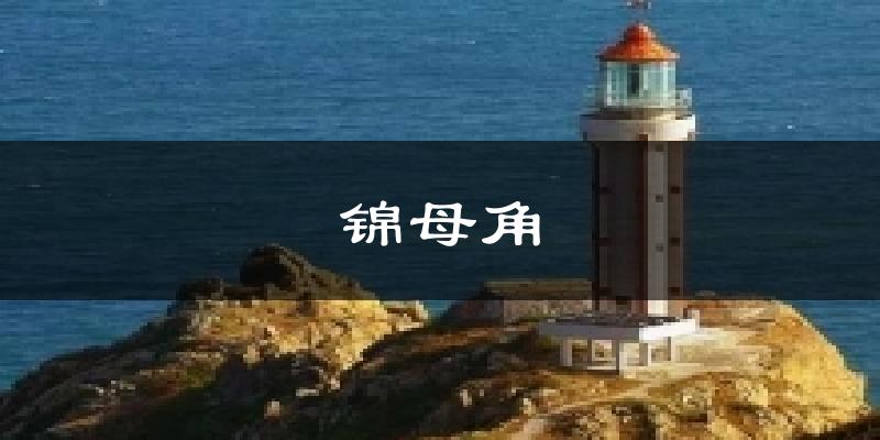 锦母角天气预报十五天